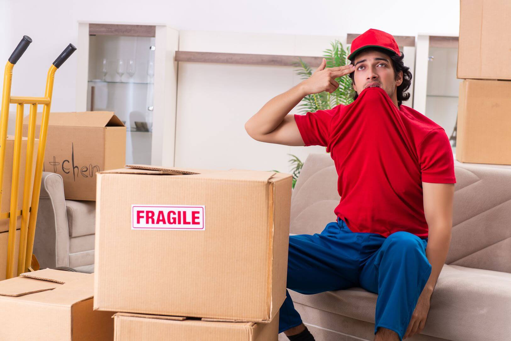 How to Pack Plates for Moving Like a Pro Professional Sacramento Movers